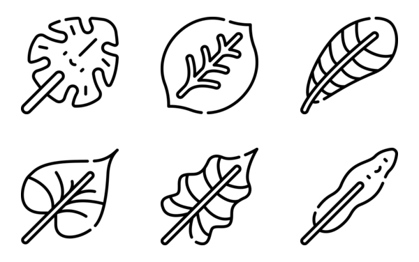 tropical leaves tropical leaves