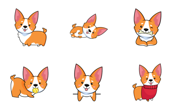 corgi