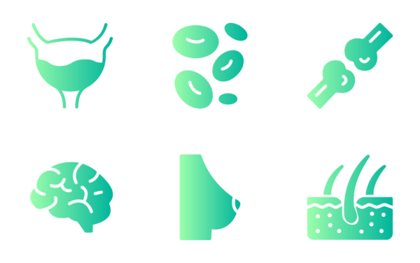 human body human body