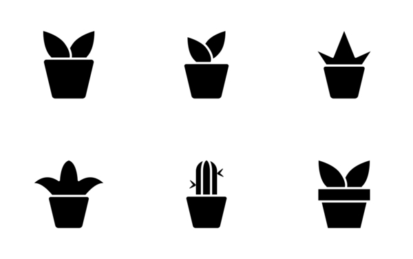 plant pot