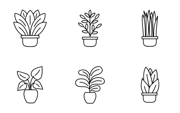 potted plants