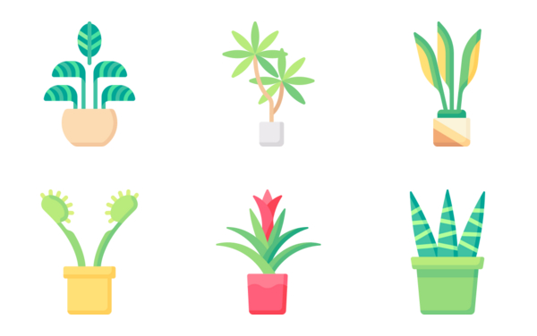 indoor plants indoor plants