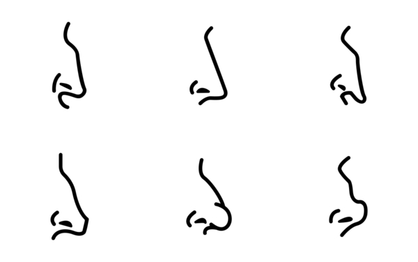 nose nose