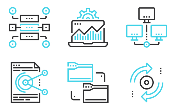 data organization and management