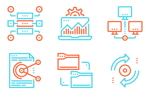 data organization and management