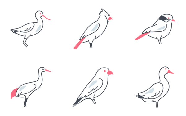 birds