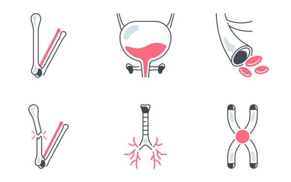 human body human body