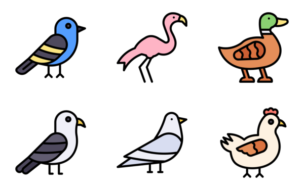 birds