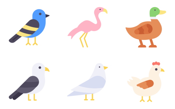 birds