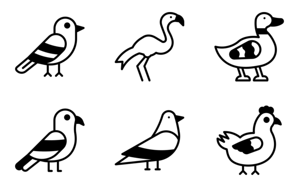 birds