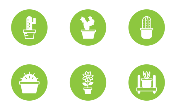 plant plant