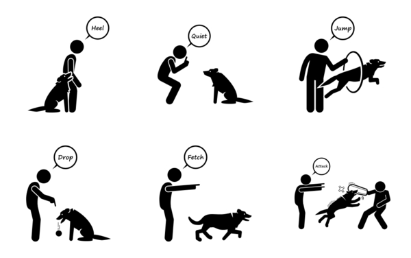 Advanced dog commands and behavioral training